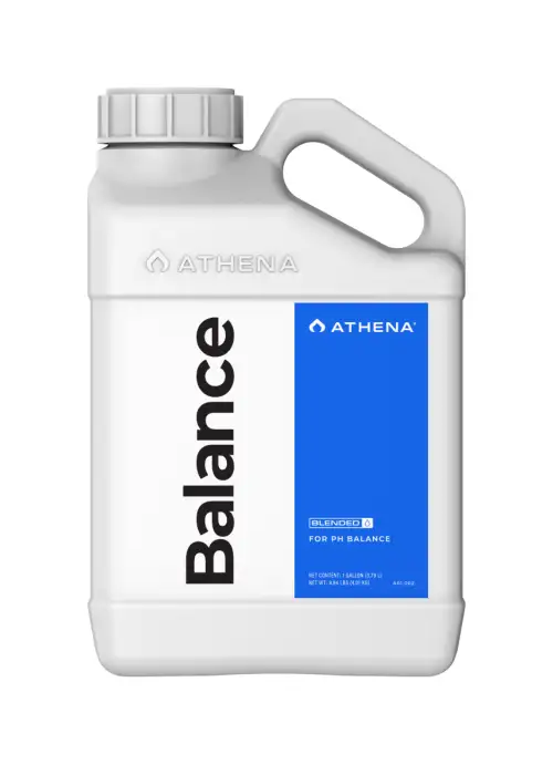 Balance - Athena