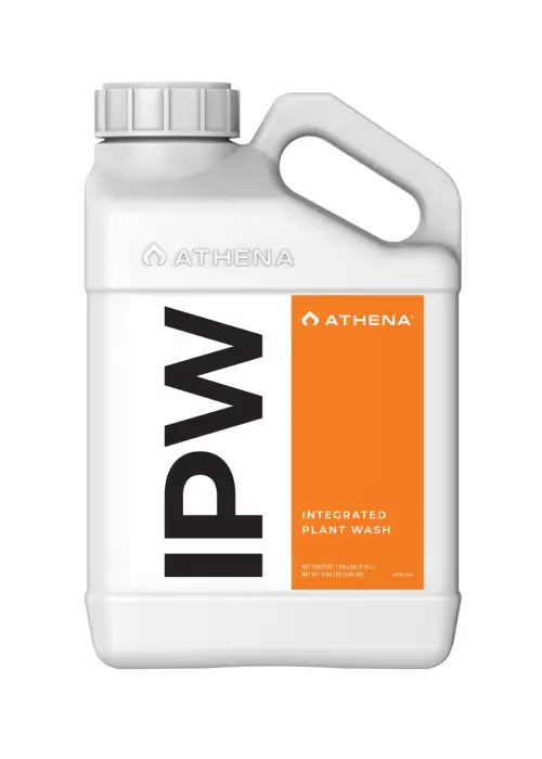 IPW