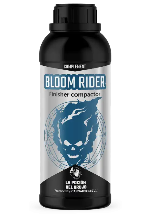 Bloom Rider