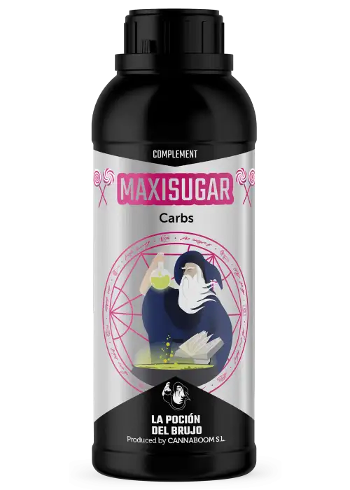 Maxisugar - Cannaboom
