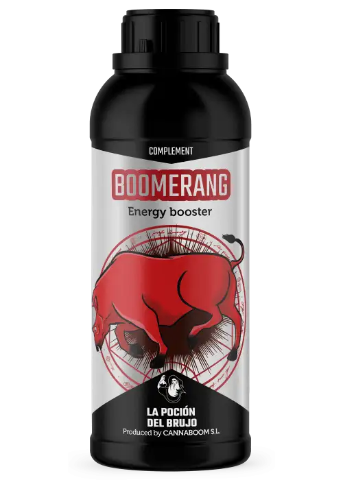 Boomerang - Cannaboom