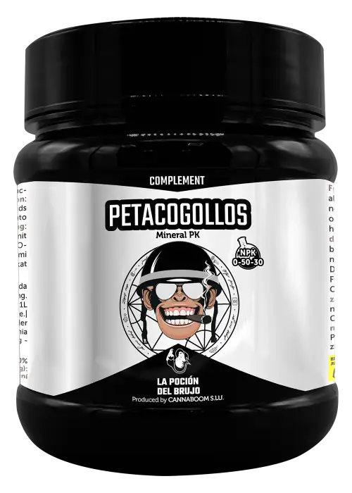 Petacogollos