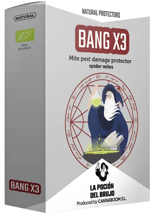 Bang X3