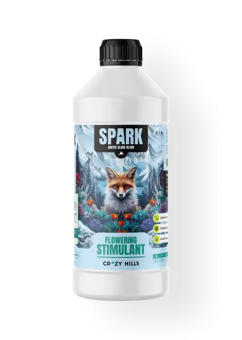 Spark - Crazy Hills 