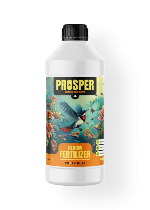 Prosper - Crazy Hills 