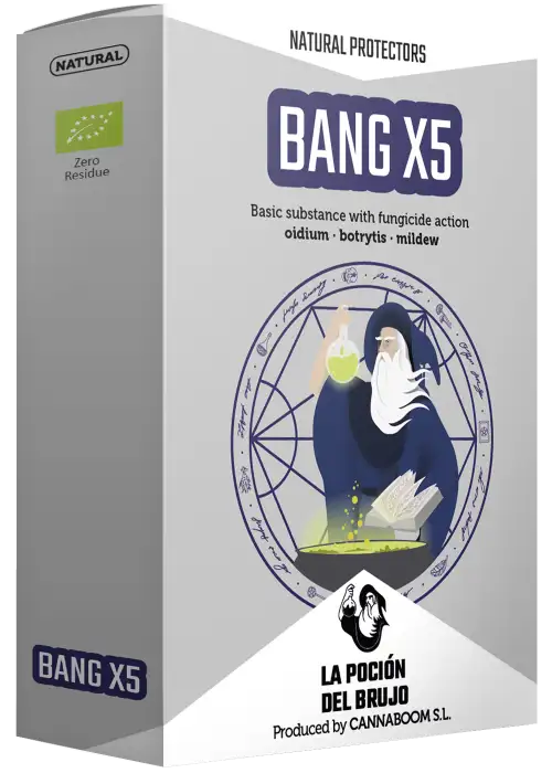 Bang X5