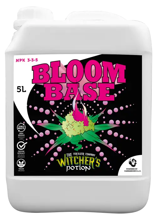 Bloom Base