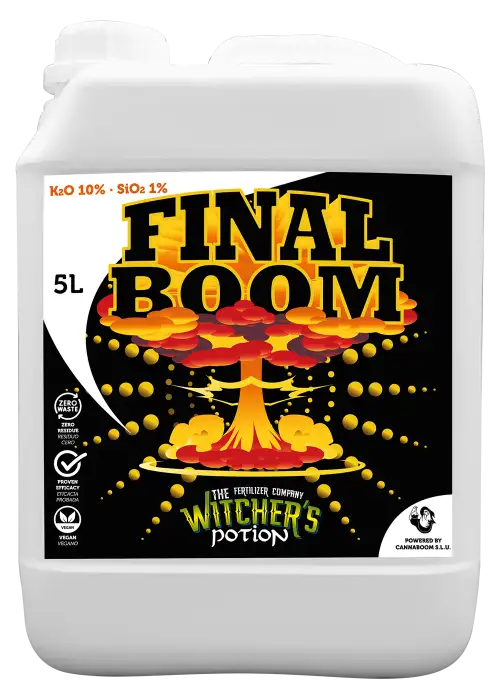 Final Boom