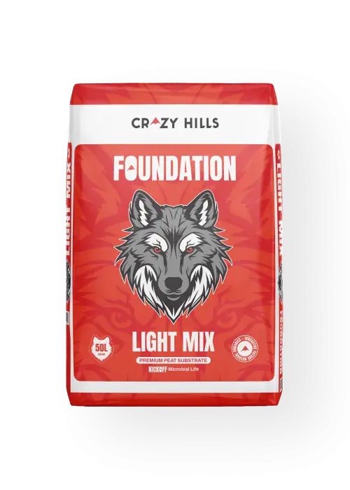 Foundation