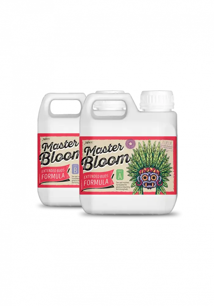 Master Bloom