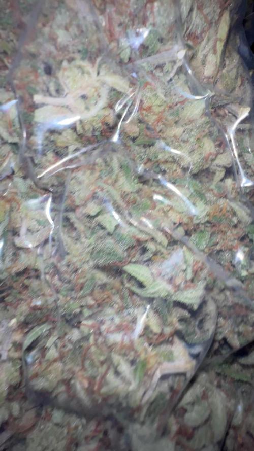 Dosidos auto barneys farm