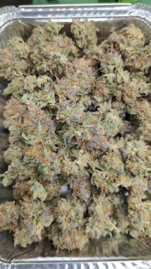 1Pound challenge Slipstream compound gen