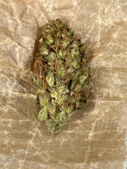 Micro Growing : Grapefruit Auto. Week 9 - Day #83