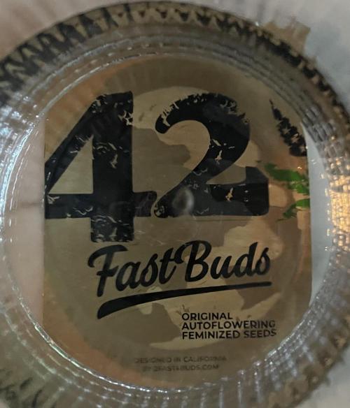 Micro Growing : Trainwreck Auto. Week 0 - Day # 0