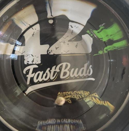 Micro Growing : LSD-25 Auto. Week 0 - Day # 0