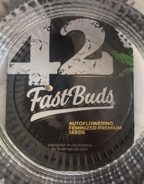 Micro Growing : LSD-25 Auto. Week 0 - Day # 0