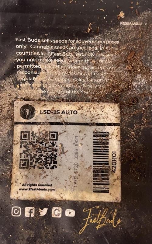 Micro Growing : LSD-25 Auto. Week 8 - Day # 61