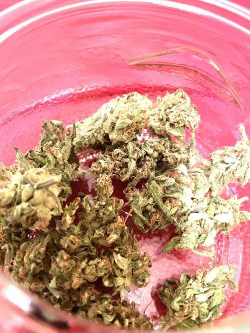 Micro Growing : Grapefruit Auto. Week 9 - Day # 83