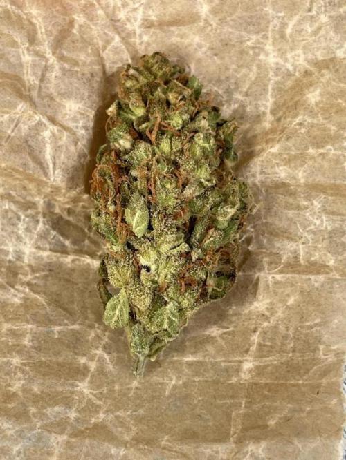 Micro Growing : Grapefruit Auto. Week 9 - Day # 83