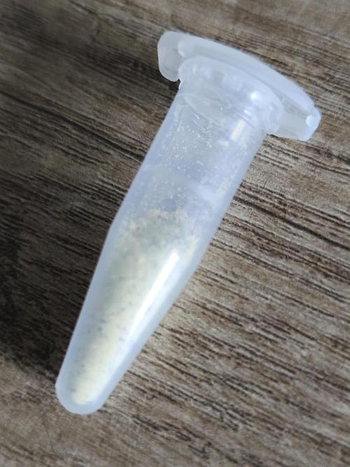 White Widow  X  The Ultimate. Week 11