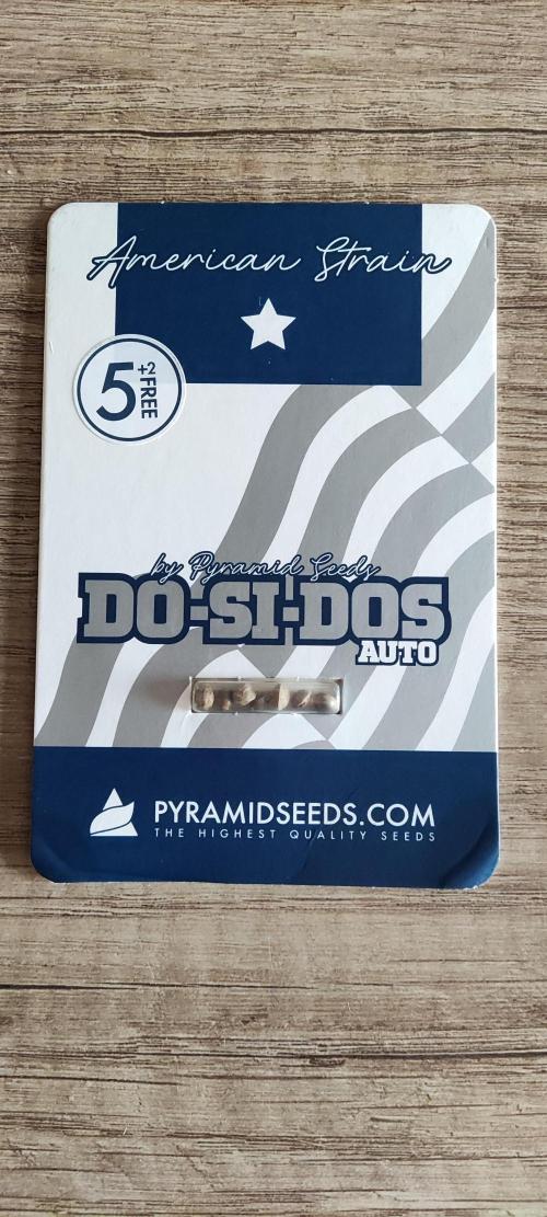 Auto Do Si Dos. Week 1