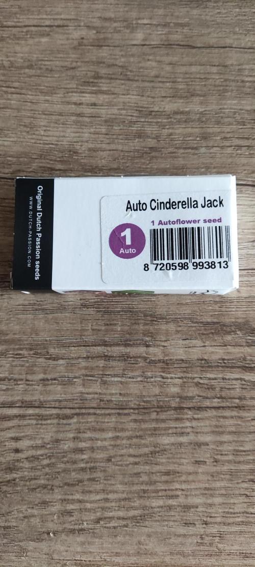 Auto Cinderella Jack. Week 1