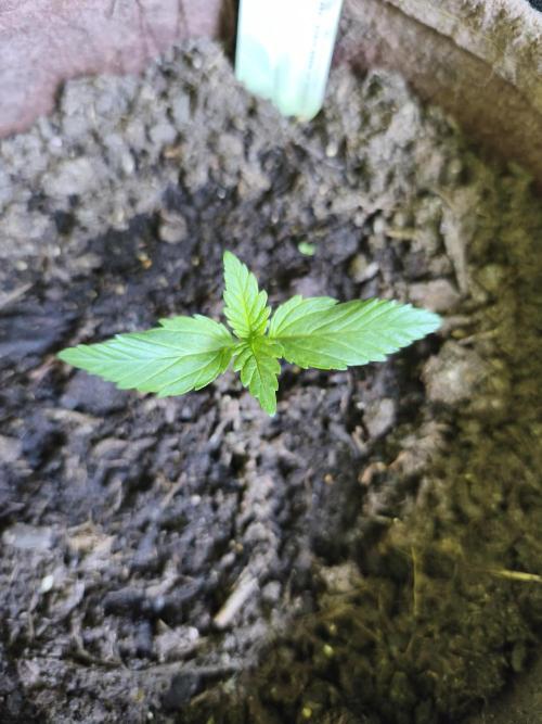 Power Plant. Week 1