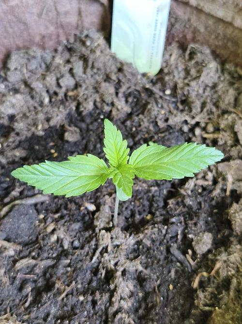 Power Plant. Week 1