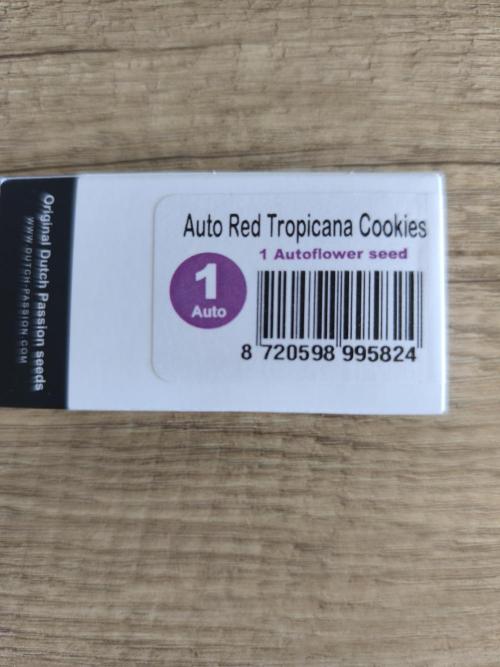Auto Red Tropicana Cookies. Week 1