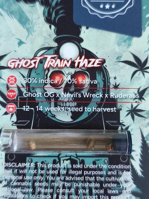 Ghost Train Haze Auto. Week 1