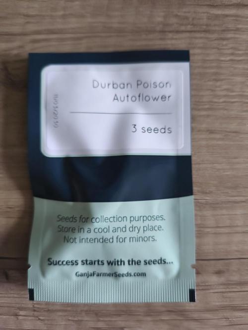 Durban Poison Autoflower. Week 1