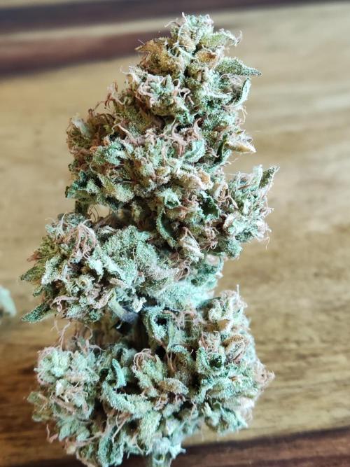 Auto Moon Rock. Week 12