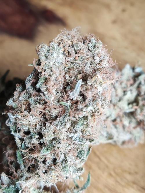 Unicorn Wagyu. Week 16