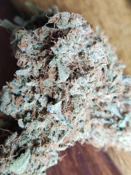 Unicorn Wagyu. Week 16