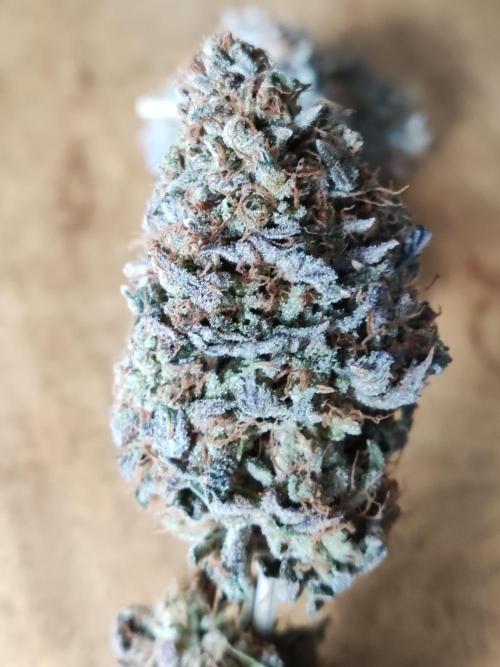 Big Bud. Week 23