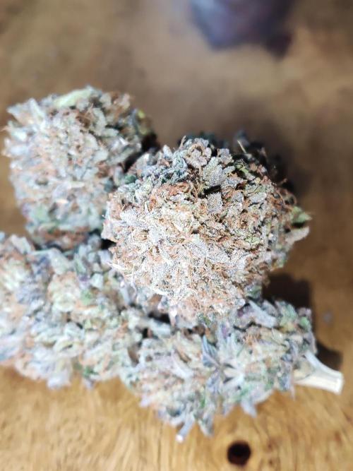Big Bud. Week 23