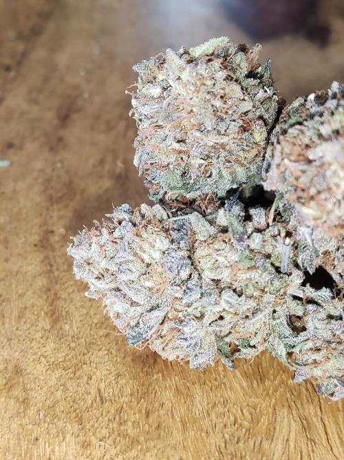 Big Bud. Week 23