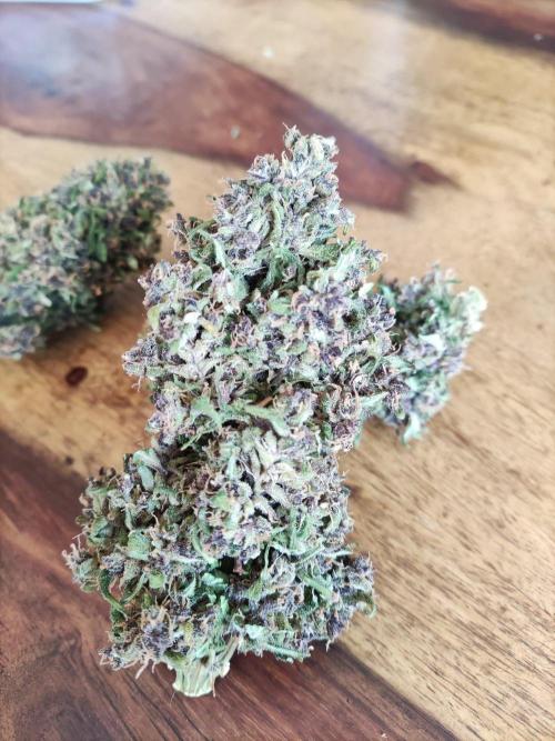 Auto Creeper. Week 13