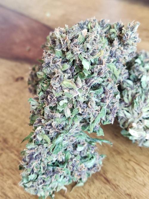 Auto Creeper. Week 13