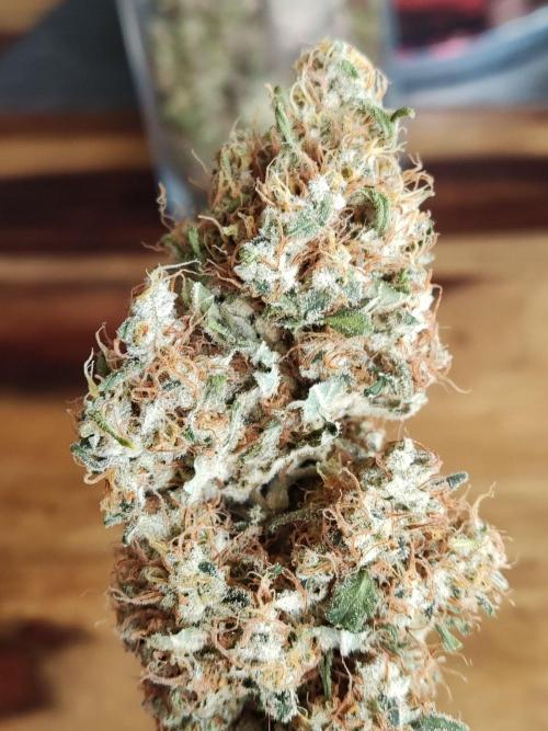 Power Plant. Week 14