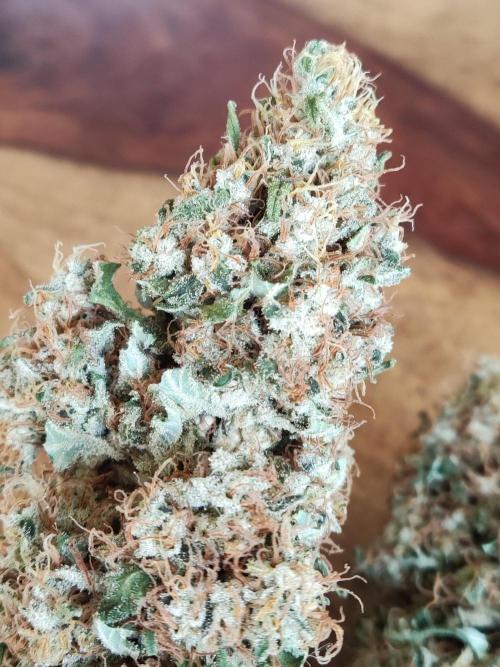 Power Plant. Week 14