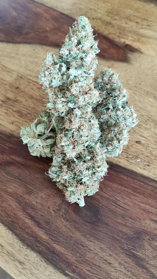 Power Plant