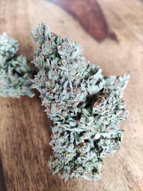 Auto Red Tropicana Cookies. Week 13