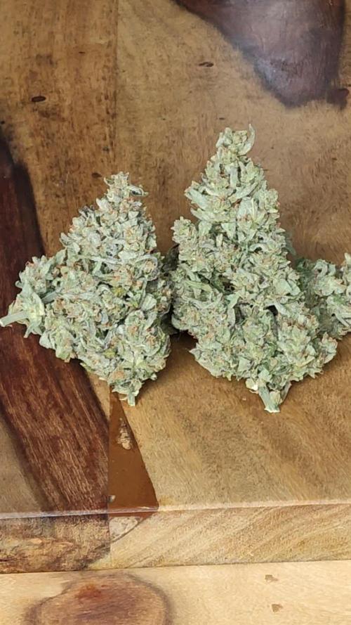 Auto Red Tropicana Cookies
