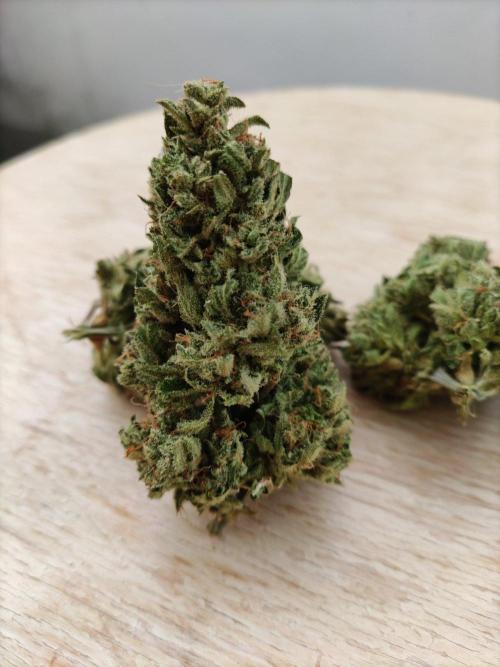 Ghost Train Haze Auto. Week 14