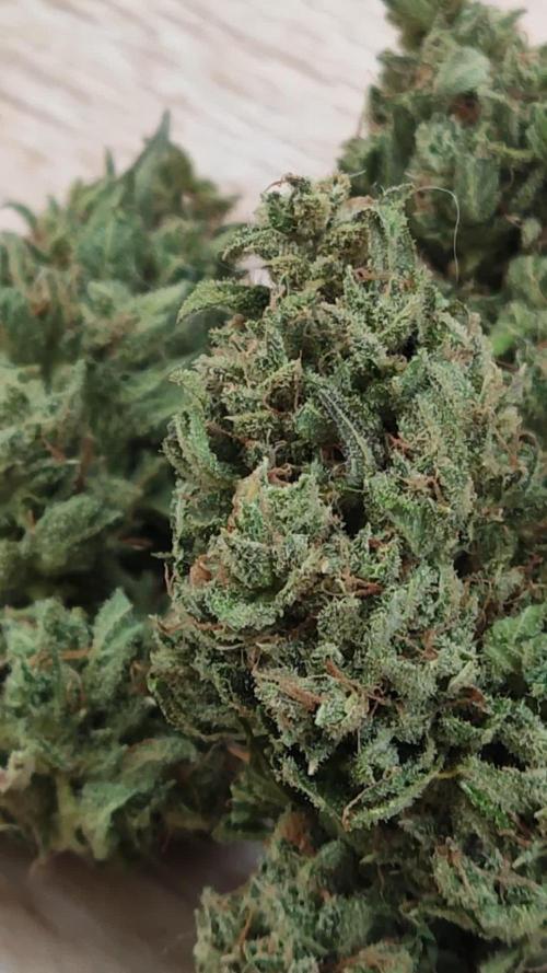 Ghost Train Haze Auto