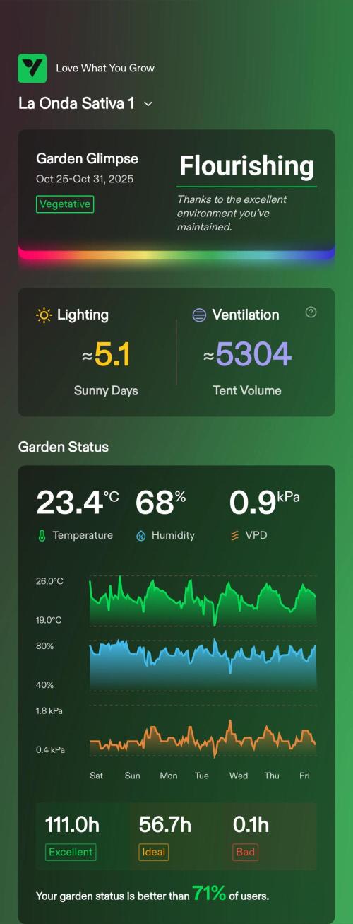 London Poud Cake Hidro #1. Week 4