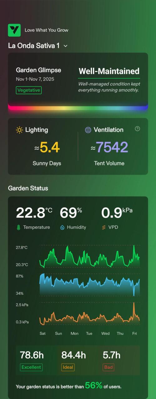 London Poud Cake Hidro #1. Week 5