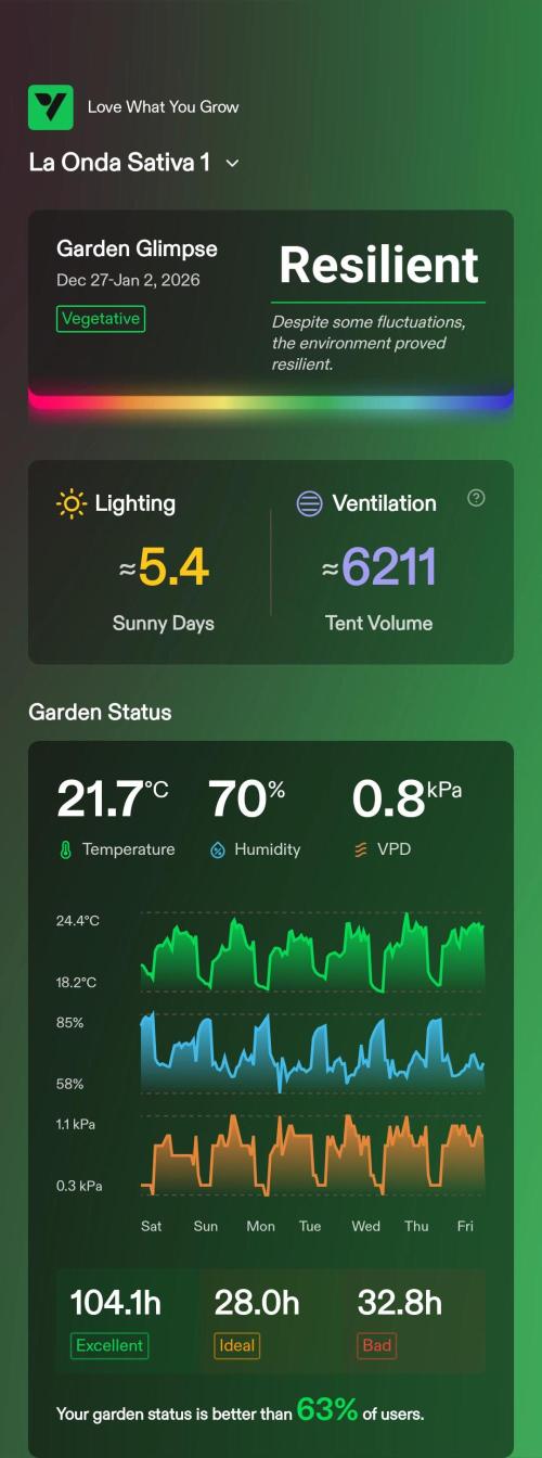 London Poud Cake Hidro #1. Week 13