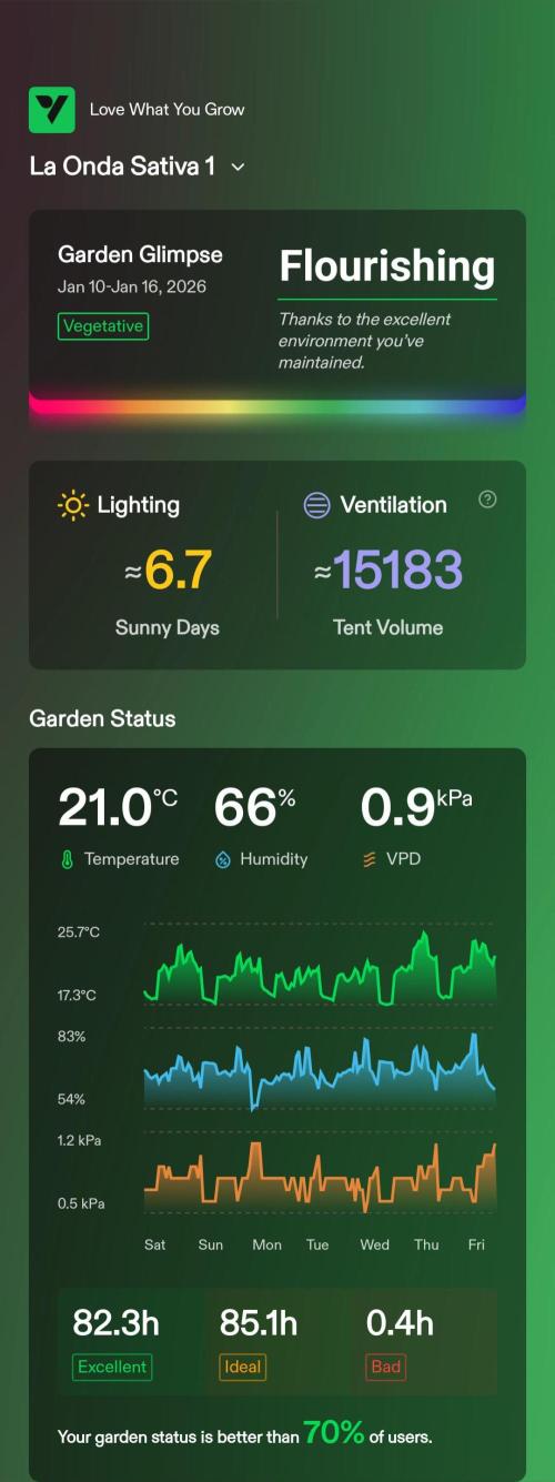 London Poud Cake Hidro #1. Week 15